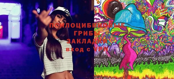 шишки Баксан
