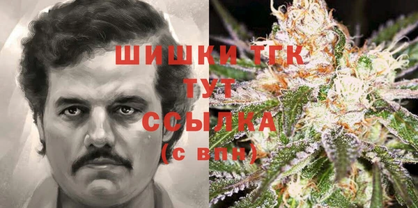 шишки Баксан