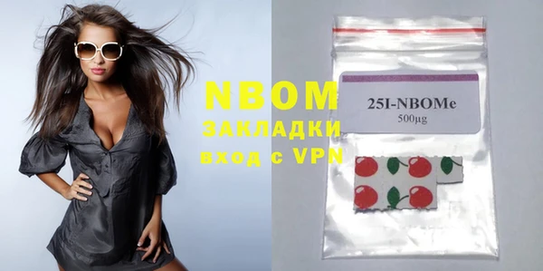 шишки Баксан
