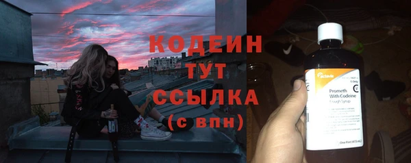 шишки Баксан