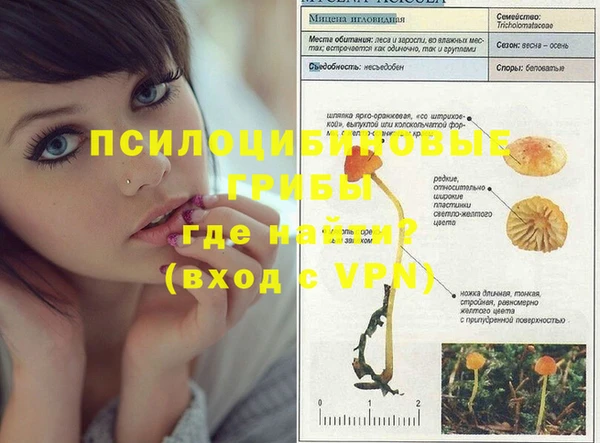 шишки Баксан