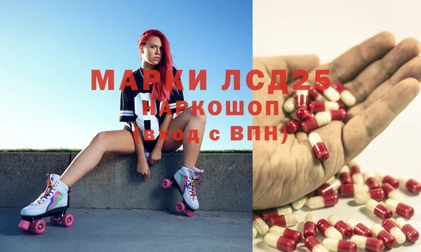 шишки Баксан