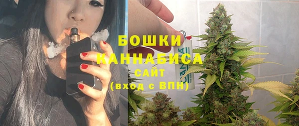 шишки Баксан